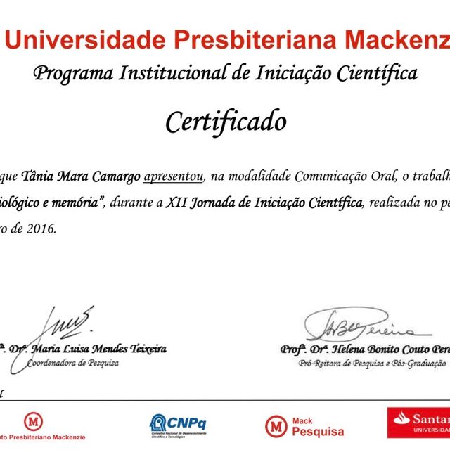 Ampliar imagem: certificate 17