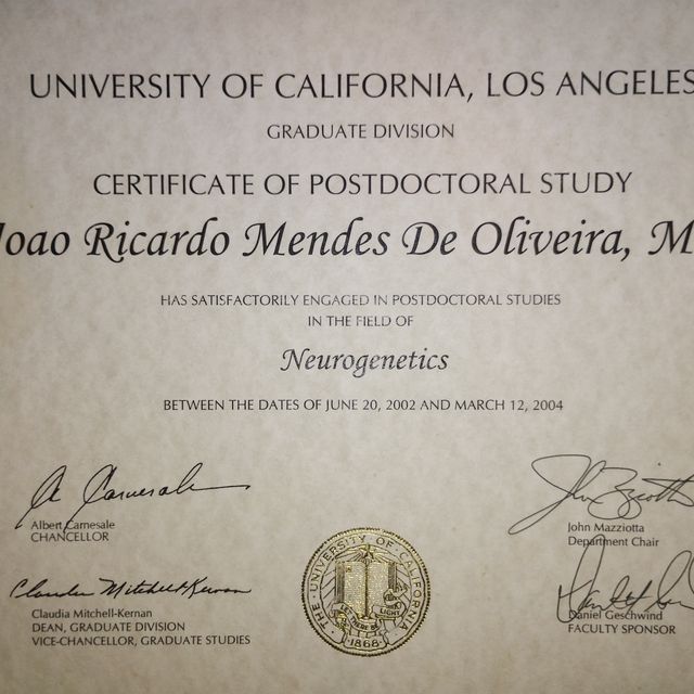 Ampliar imagem: certificate 2