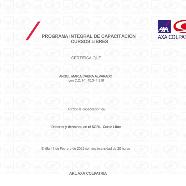 Acercar imagen: certificate 13