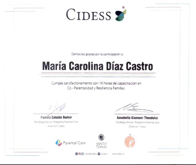 Acercar imagen: certificate 8