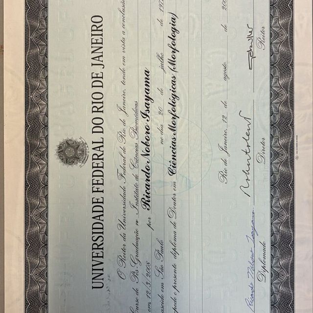 Ampliar imagem: certificate 6