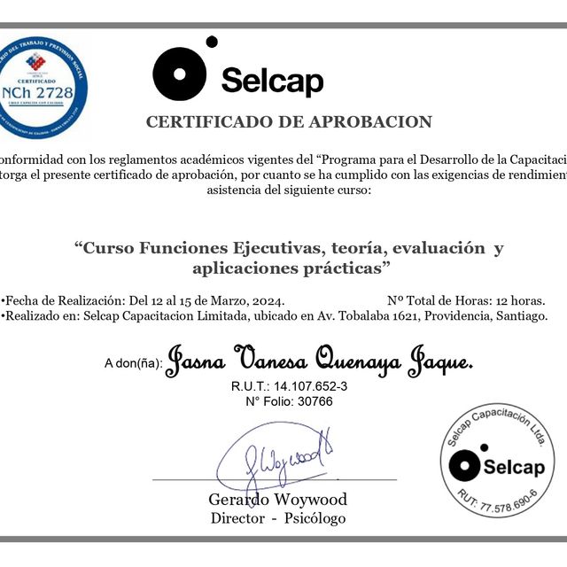Acercar imagen: certificate 13