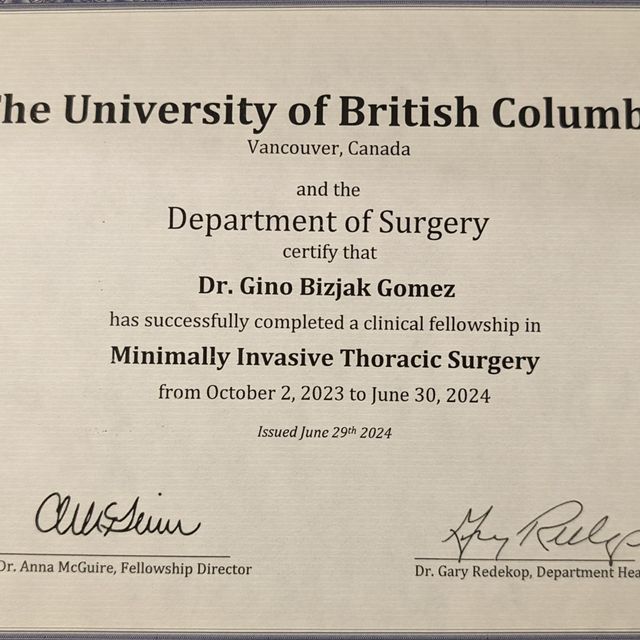 Acercar imagen: certificate 2