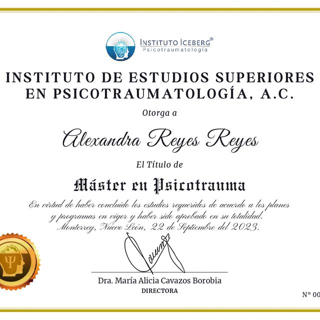 Acercar imagen: certificate 1