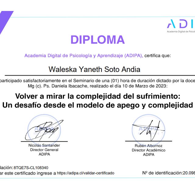 Acercar imagen: certificate 17