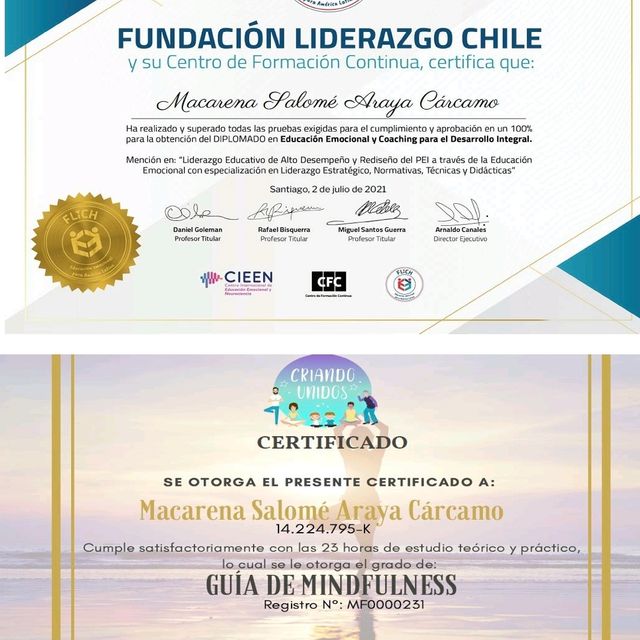 Acercar imagen: certificate 1