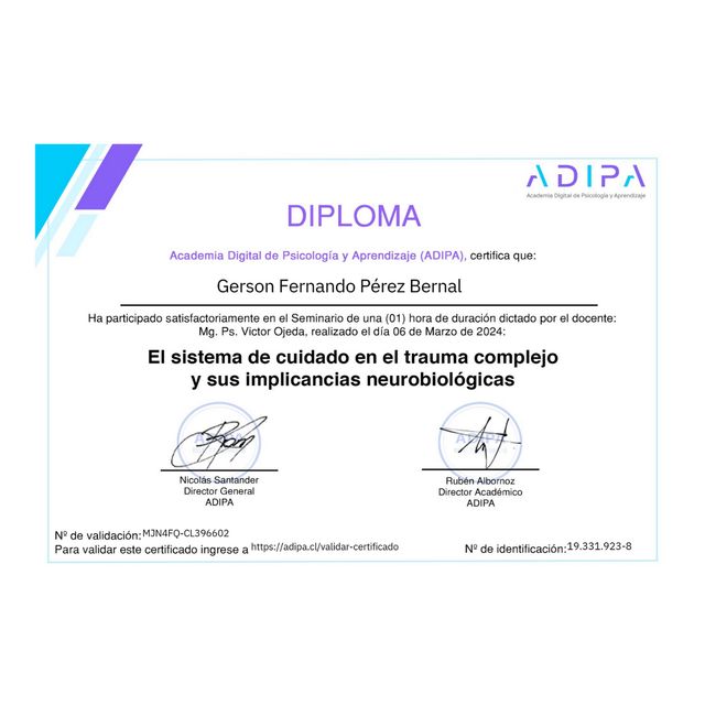 Acercar imagen: certificate 46