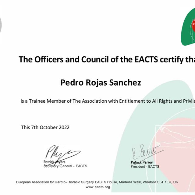 Acercar imagen: certificate 2