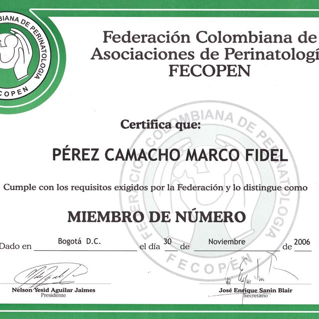 Acercar imagen: certificate 5