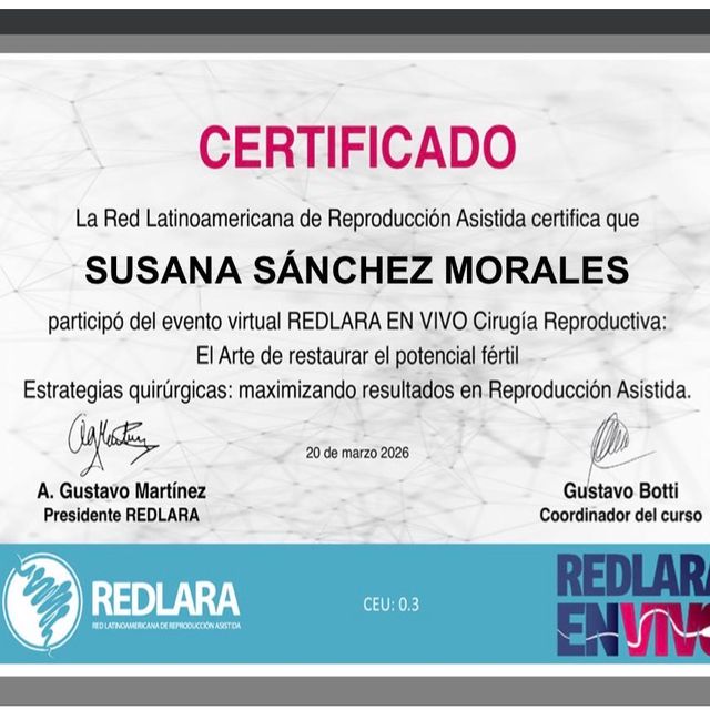 Acercar imagen: certificate 5