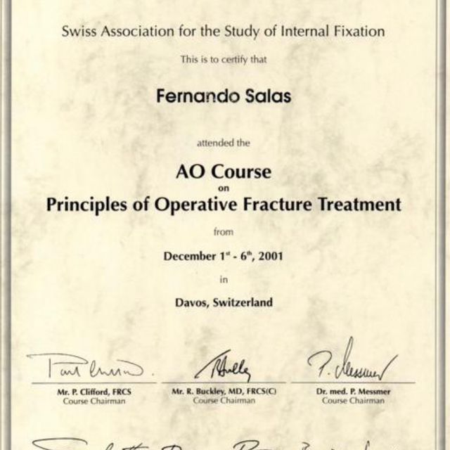 Acercar imagen: certificate 14