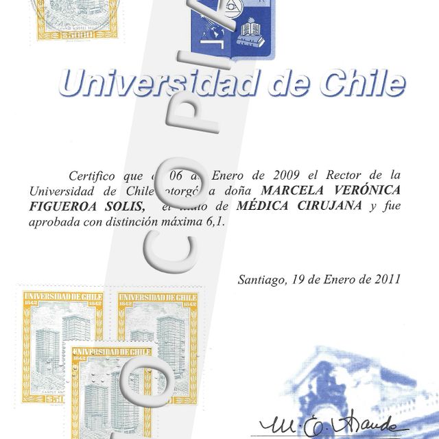 Acercar imagen: certificate 8