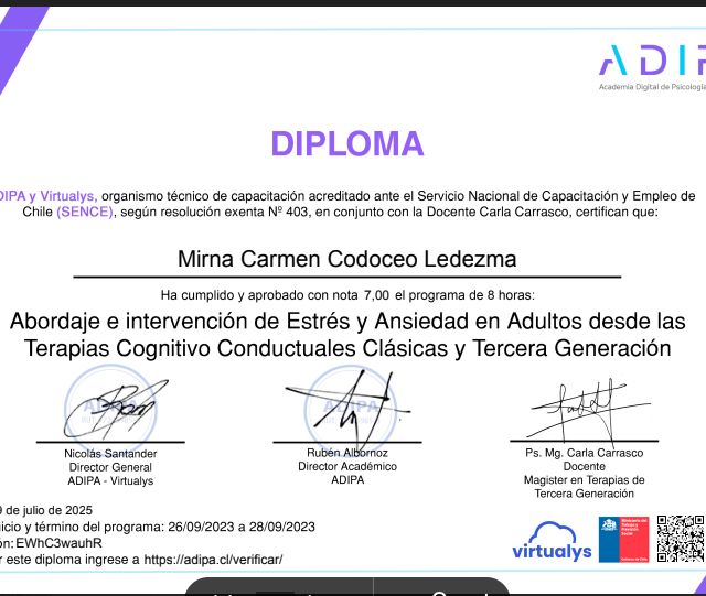 Acercar imagen: certificate 10
