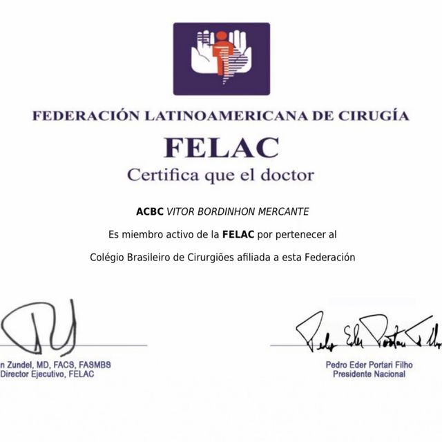 Ampliar imagem: certificate 9