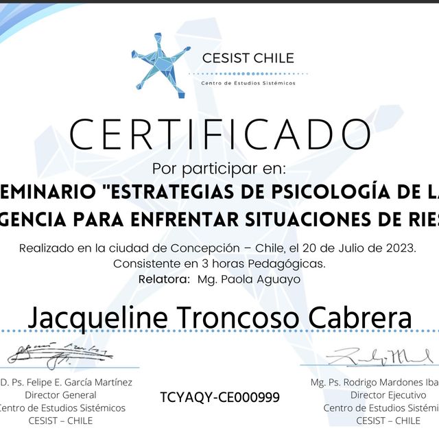 Acercar imagen: certificate 31