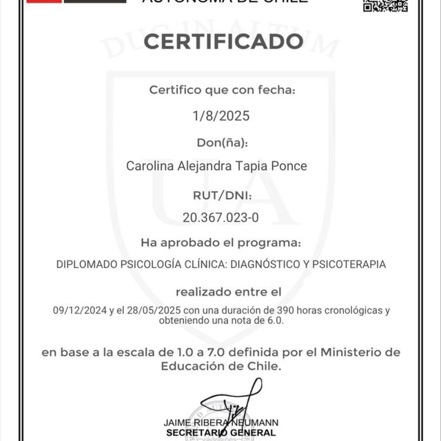 Acercar imagen: certificate 2