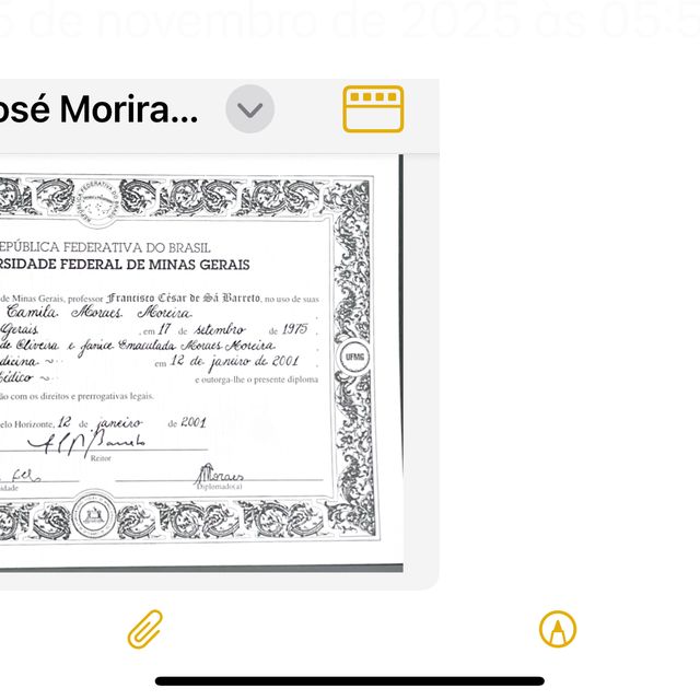 Ampliar imagem: certificate 11