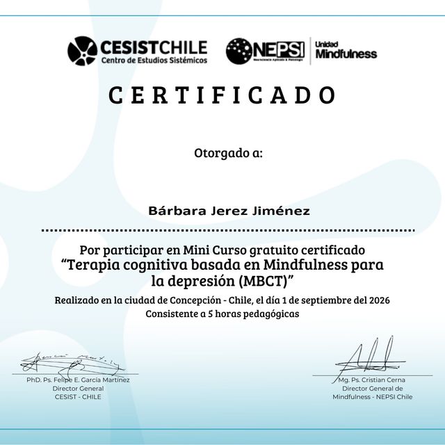 Acercar imagen: certificate 2