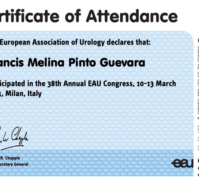 Acercar imagen: certificate 3