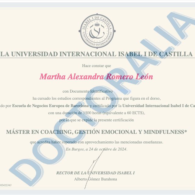 Acercar imagen: certificate 2