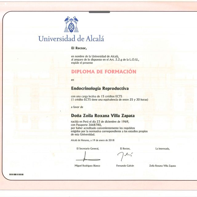 Acercar imagen: certificate 5