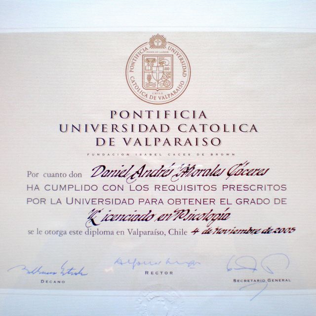 Acercar imagen: certificate 3