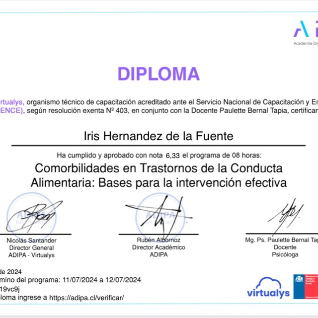 Acercar imagen: certificate 13