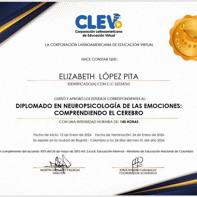 Acercar imagen: certificate 14