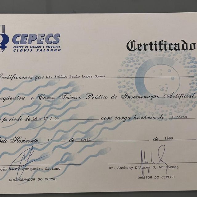 Ampliar imagem: certificate 24