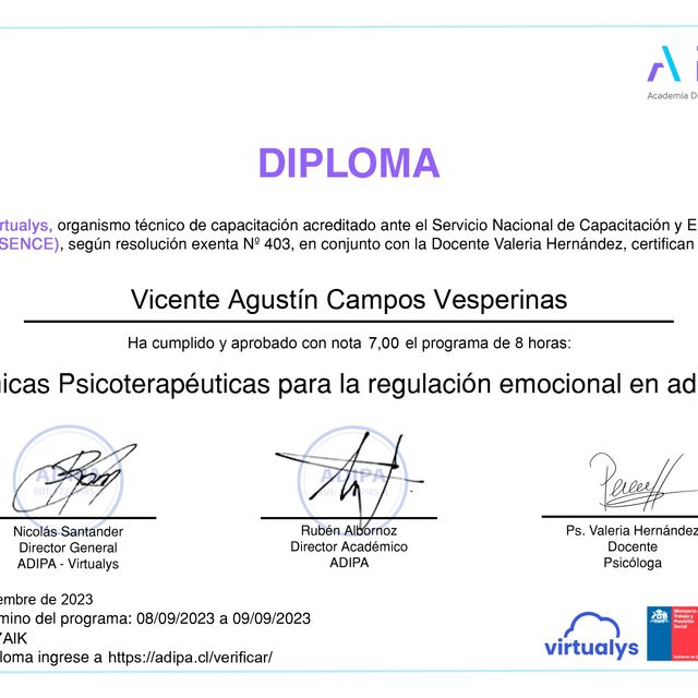 Acercar imagen: certificate 29
