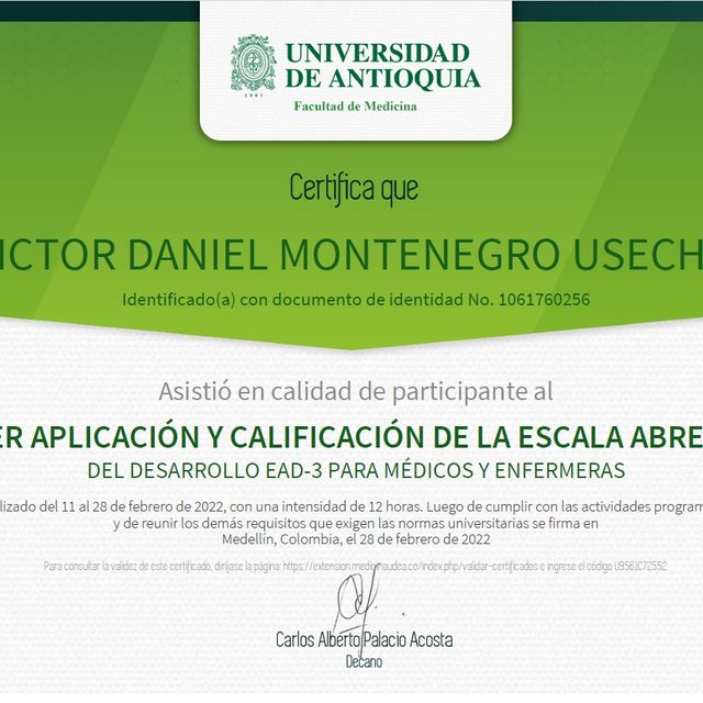 Acercar imagen: certificate 3
