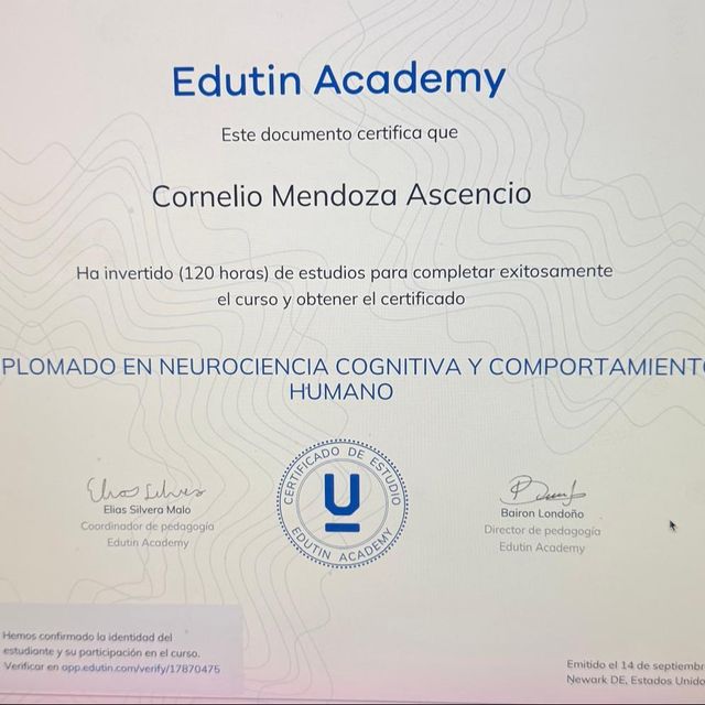 Acercar imagen: certificate 5