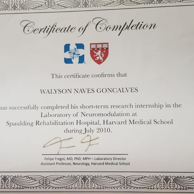 Ampliar imagem: certificate 1