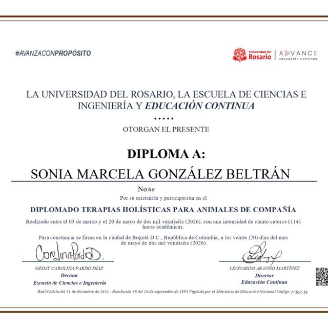 Acercar imagen: certificate 4
