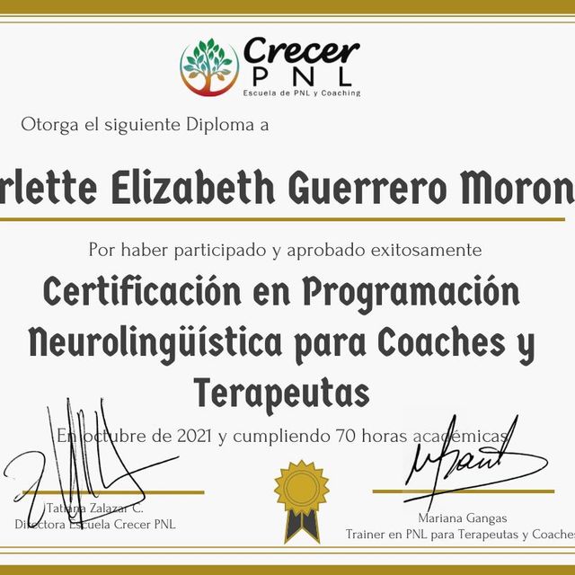 Acercar imagen: certificate 3