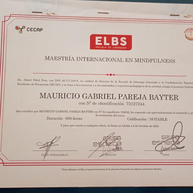 Acercar imagen: certificate 11