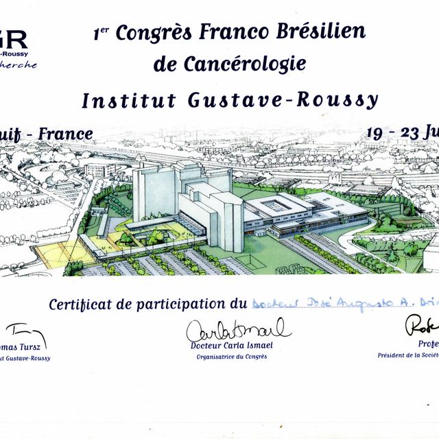 Ampliar imagem: certificate 16