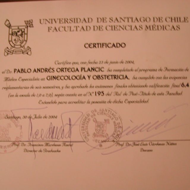 Acercar imagen: certificate 4