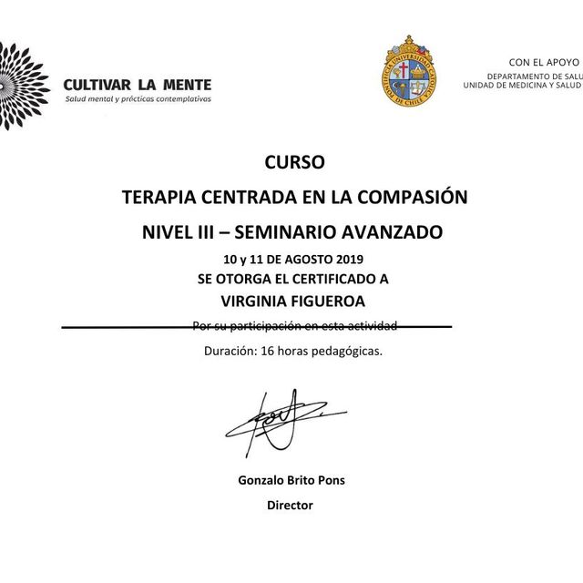 Acercar imagen: certificate 7