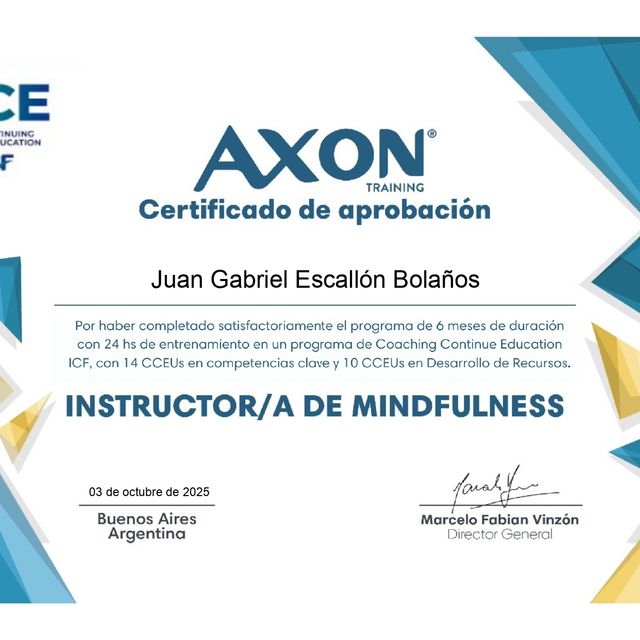 Acercar imagen: certificate 10