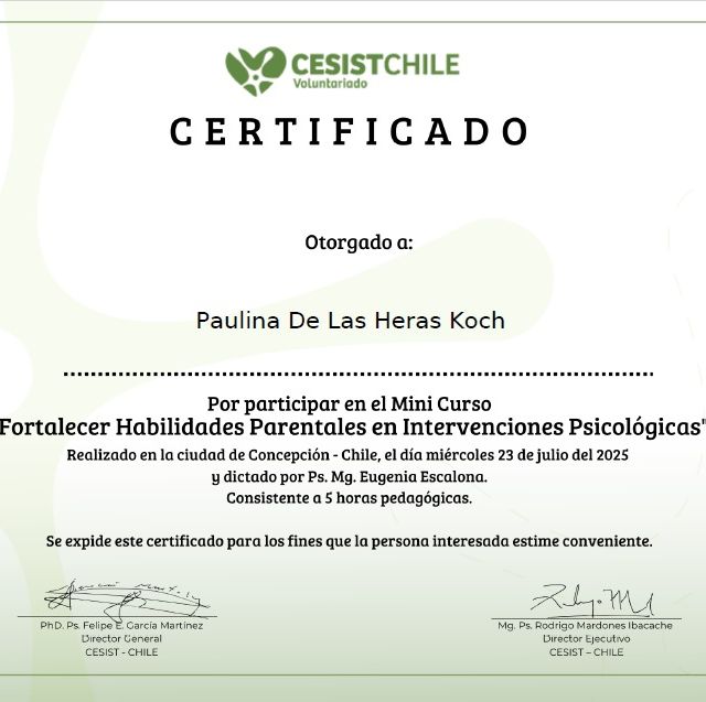 Acercar imagen: certificate 17
