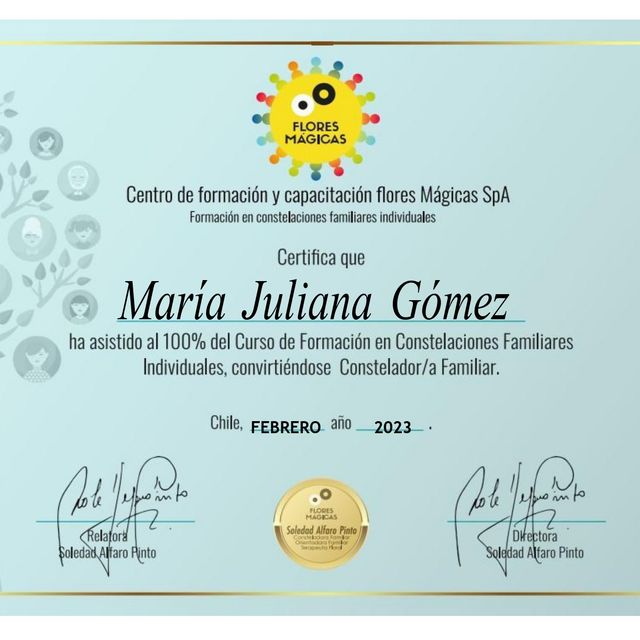 Acercar imagen: certificate 5