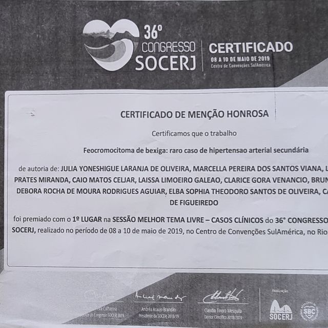Ampliar imagem: certificate 5