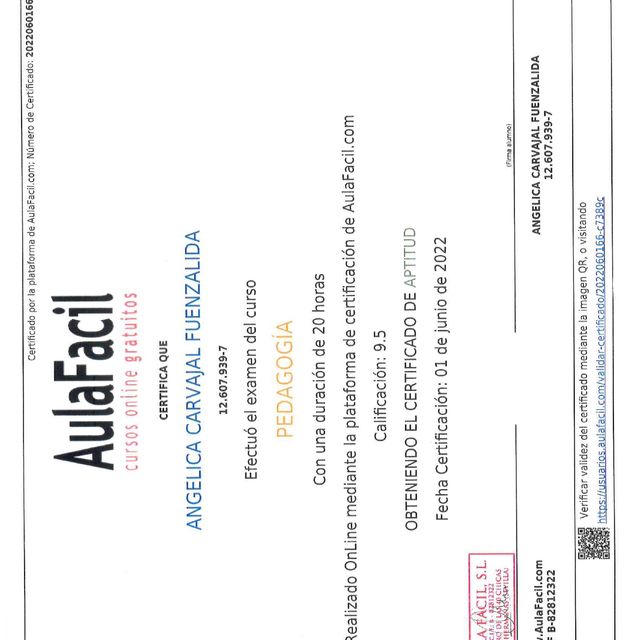 Acercar imagen: certificate 17