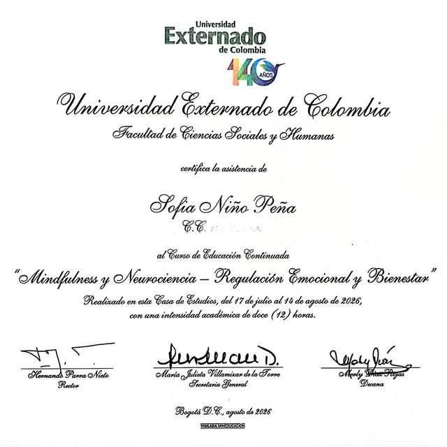 Acercar imagen: certificate 3