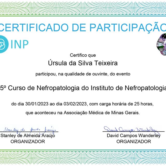 Ampliar imagem: certificate 2