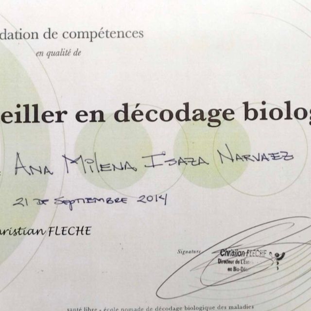 Acercar imagen: certificate 42