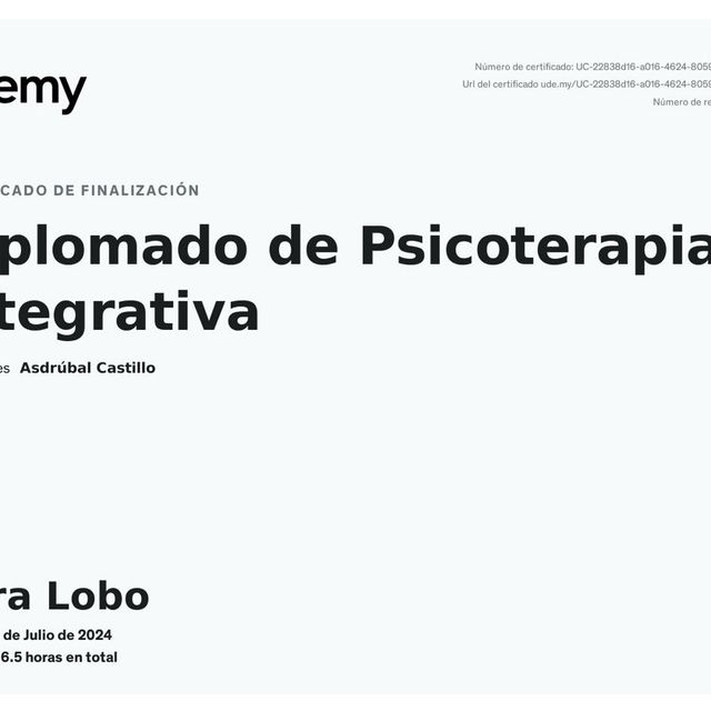 Acercar imagen: certificate 6