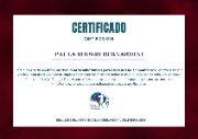 Ampliar imagem: certificate 11