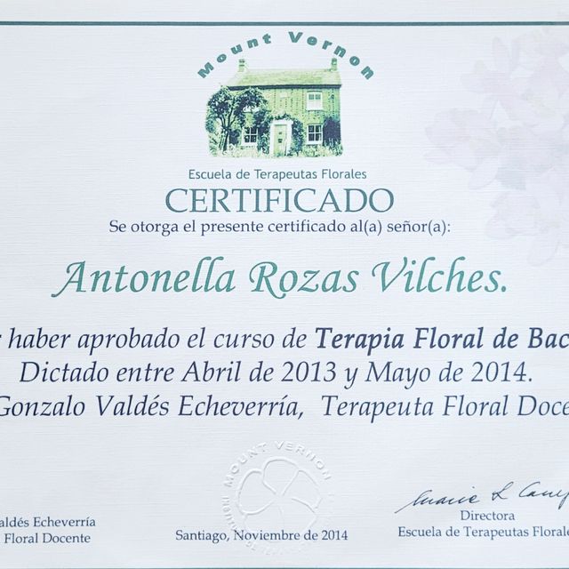 Acercar imagen: certificate 2